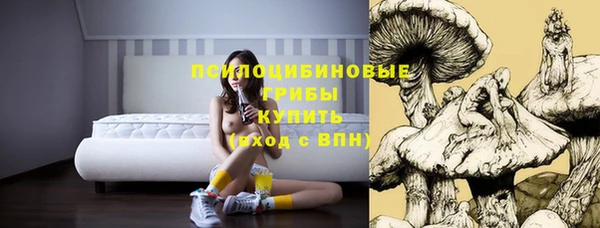 хмурый Зеленокумск