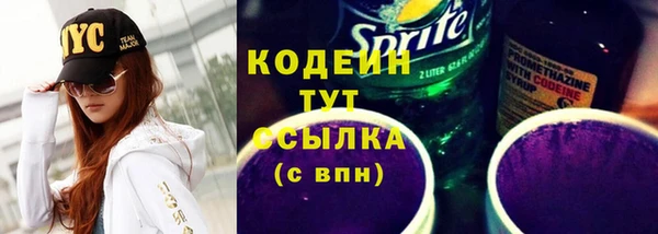 индика Зеленодольск