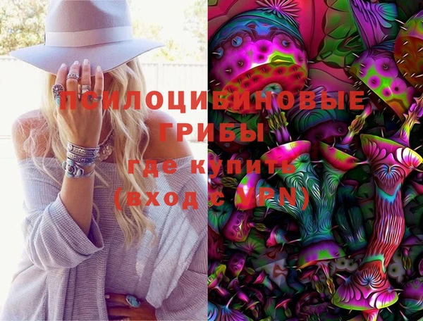 индика Зеленодольск