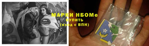 индика Зеленодольск