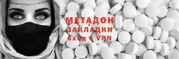 индика Зеленодольск