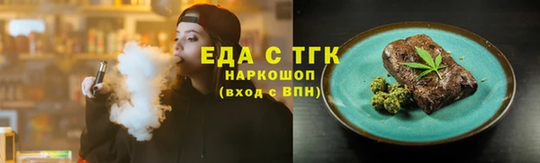 индика Зеленодольск