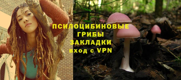 хмурый Зеленокумск