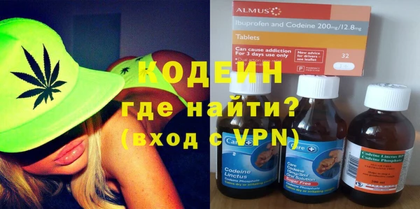 индика Зеленодольск