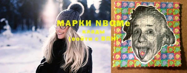 индика Зеленодольск