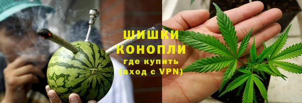 индика Зеленодольск