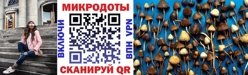 Купить  Дзержинский  Псилоцибиновые грибы ЛСД 